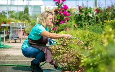 Hortikultura – Umjetnost i znanost oblikovanja zelenih prostora